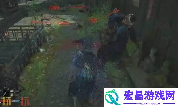 鹦鹉杯用途介绍