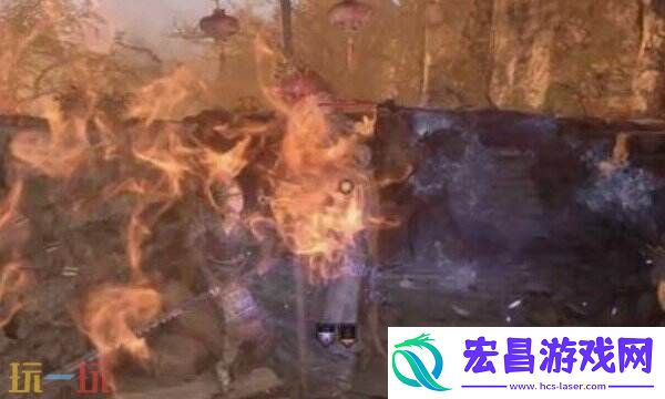 乌黑的药丸用途分享