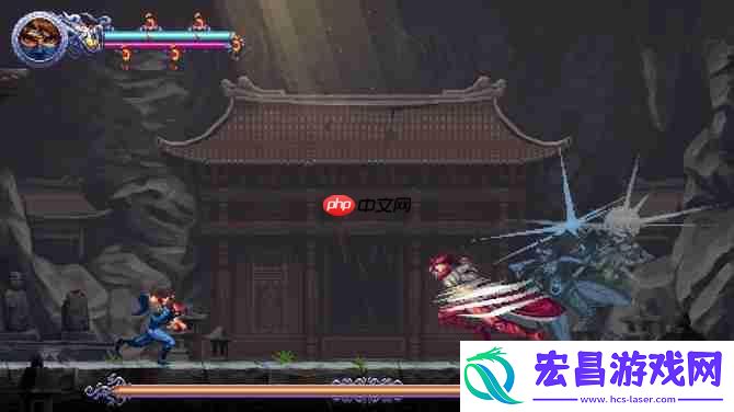 忍者外传