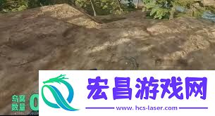 三角洲行动长弓溪谷鸟窝在哪找