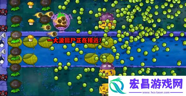 植物大战僵尸真无双