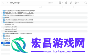 Lark客户端数据目录权限异常怎么办