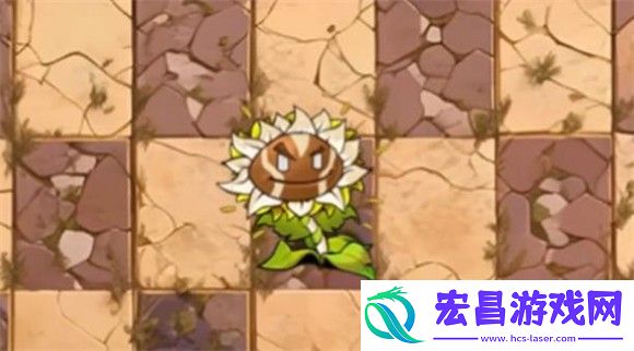 植物大战僵尸神奇植物版