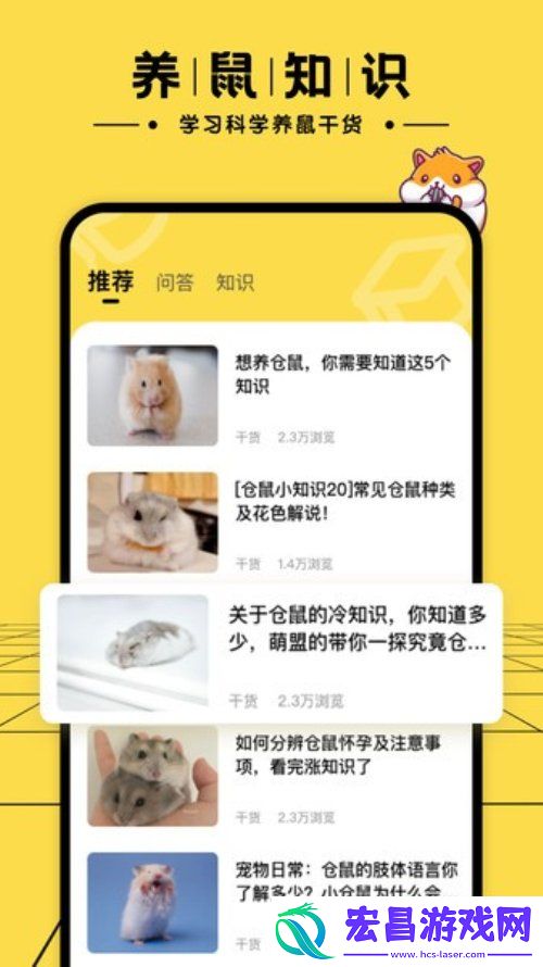 仓鼠日记