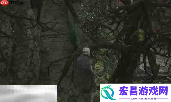 护子玉佩效果介绍