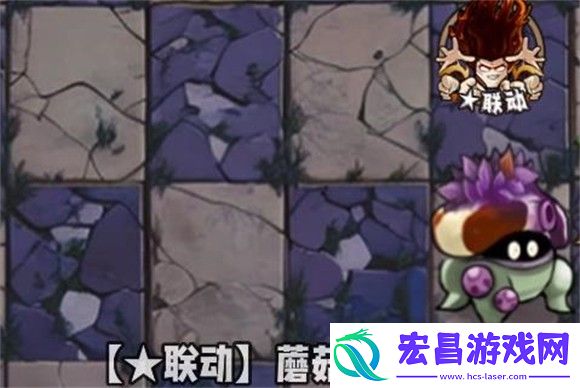 植物大战僵尸神奇植物版