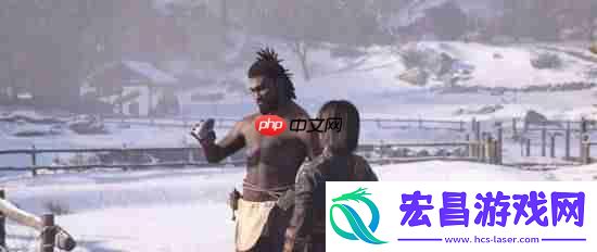 刺客信条影双主角无法同时上场