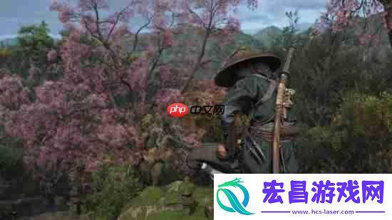 刺客信条影双主角无法同时上场