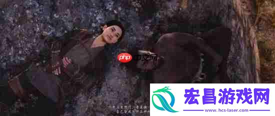 刺客信条影双主角无法同时上场