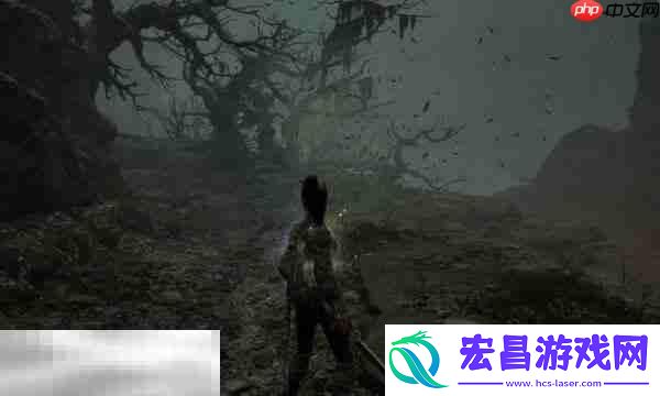 黯淡红羽获取途径介绍
