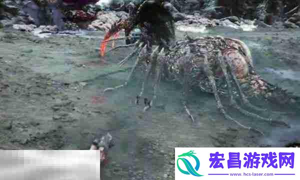 黯淡红羽获取途径介绍