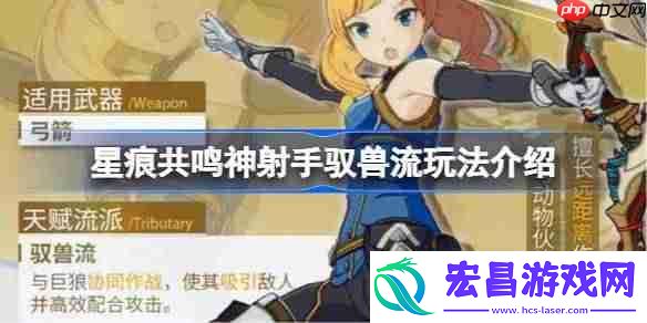 星痕共鸣神射手驭兽流该怎么玩-星痕共鸣神射手驭兽流玩法介绍
