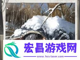 光与夜之恋四周年福利包含哪些