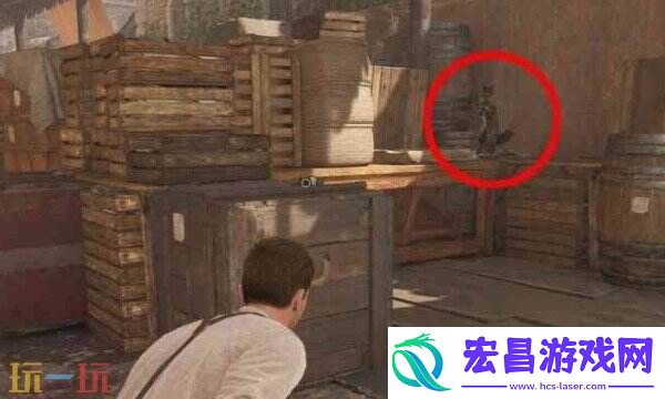 神秘狐狸位置一览