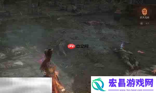 烁光红羽材料用途分享
