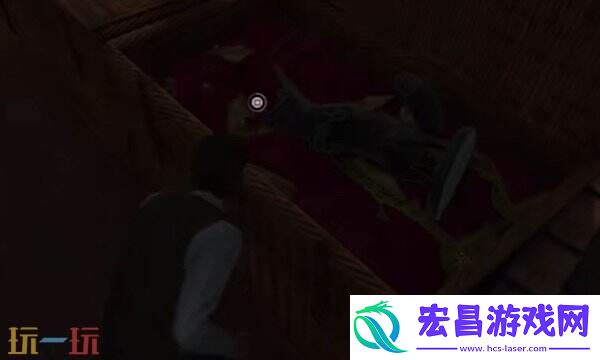 神秘狐狸09位置分享