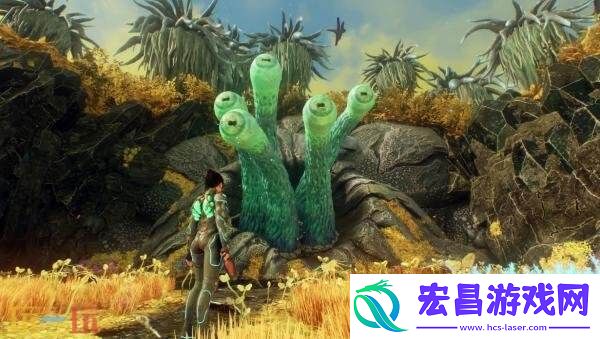 首发八五折优惠