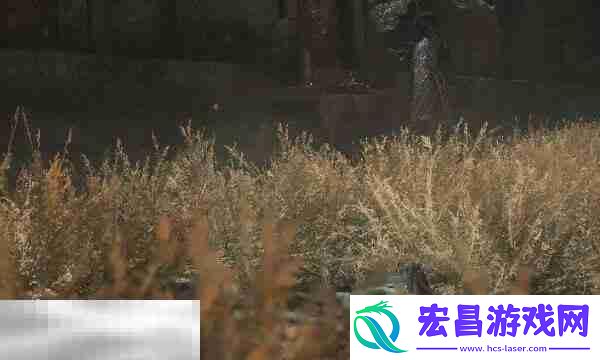 还魂草获取方法攻略