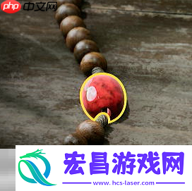 务实珠饰位置说明