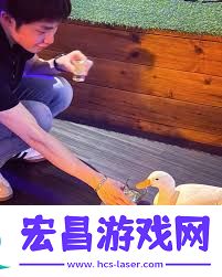sora软件是否免费