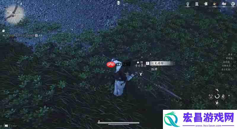 燕云奇珍蹊跷收集介绍