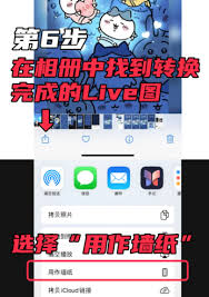 intolive如何将视频转化为动态壁纸-intolive怎样把视频变成动态壁纸