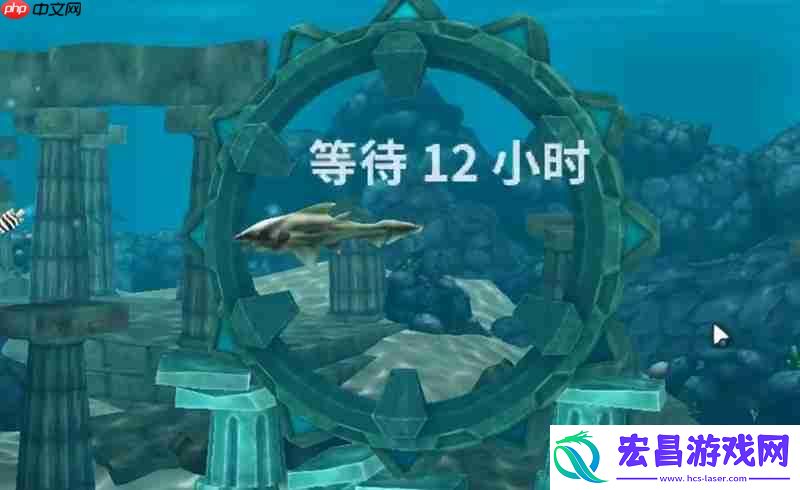电鲨任务流程攻略