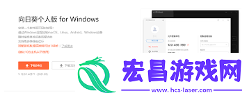向日葵远程控制软件怎样开启自动检查网络