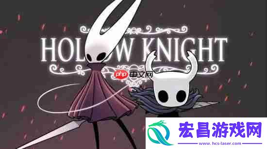 但为何空洞骑士