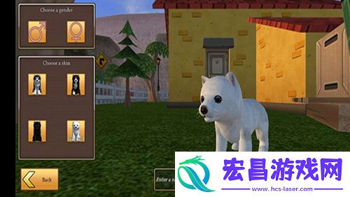 美国zoom动物截图