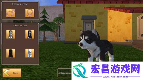 美国zoom动物截图