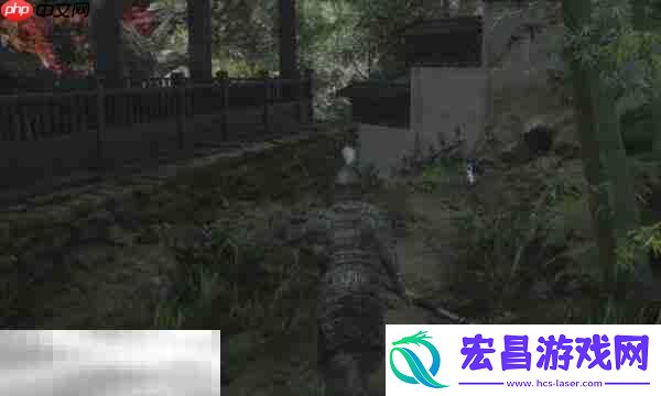 敏捷效果介绍