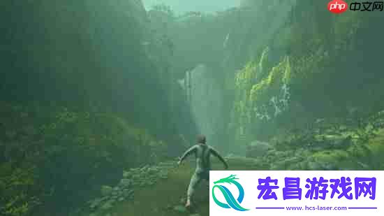 D社新作因丝之歌跳票