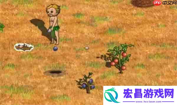 村落人生不同区域资源分配一览
