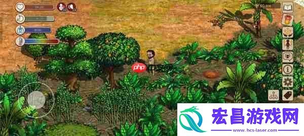 村落人生不同区域资源分配一览
