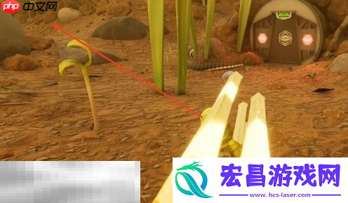 橡果获取位置一览