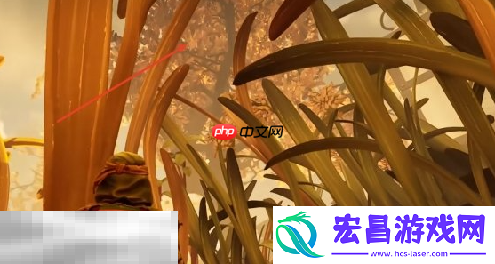 橡果获取位置一览