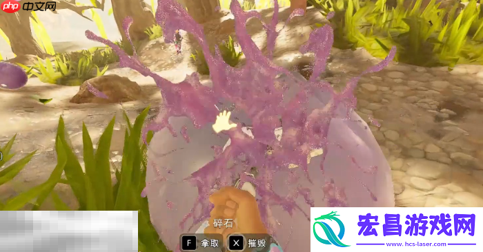 浆果皮革获取攻略
