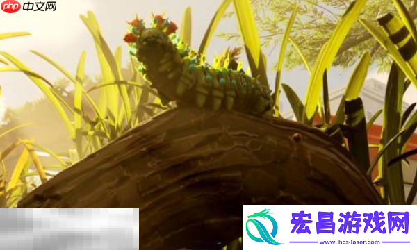 蓝莓位置介绍