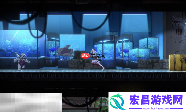 全关卡通关攻略