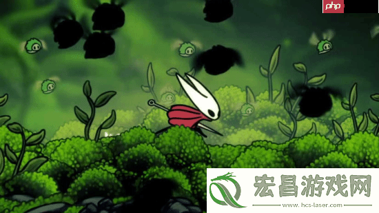 空洞骑士