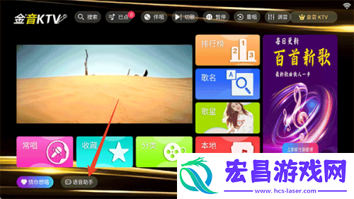 金音kt