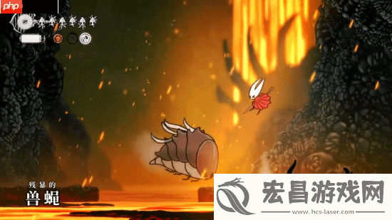 空洞骑士