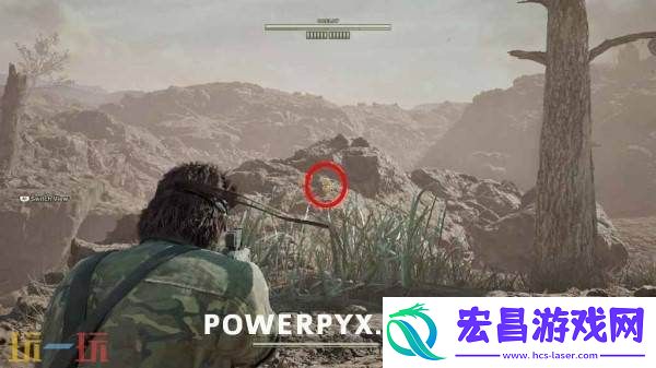 波尔夏亚帕斯托小黄鸭收集