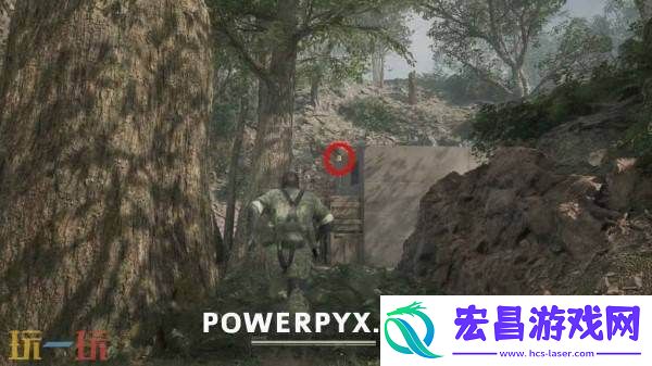 波尔夏亚帕斯托小黄鸭收集
