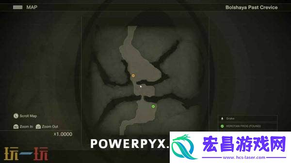 波尔夏亚帕斯托小黄鸭收集