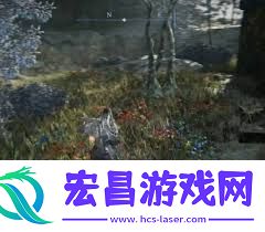 艾尔登法环黑夜君临魔法师塔解密攻略