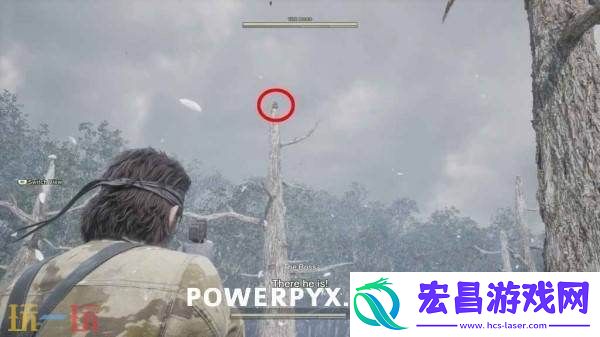 罗高博伊小黄鸭在哪