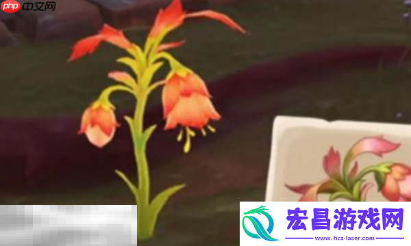 悼灵花采集路线分享