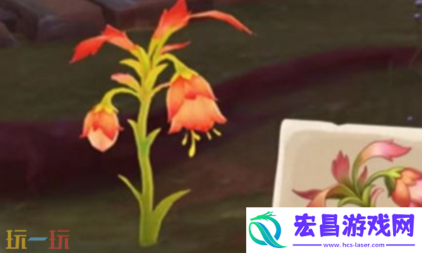 原神悼灵花在哪-悼灵花采集路线分享